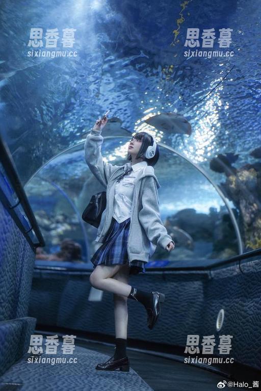 学姐来啦！Halo_酱的美图，给我分享点复习法？