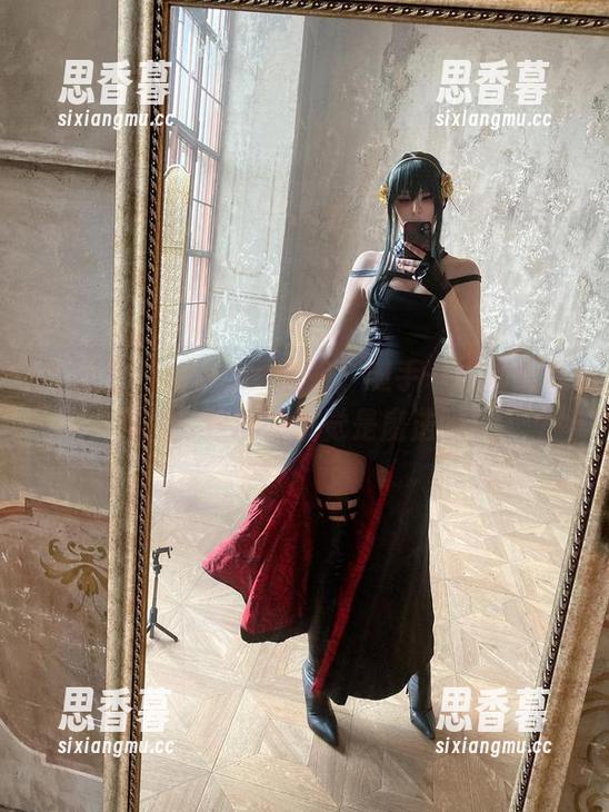 不愧是Vinnegal学姐，随手一拍都是好作品，这图册感觉是魔法吗？