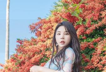 夏天的回忆里，加点Zzyuri私拍和DJAWA照片，差点以为我穿越了。