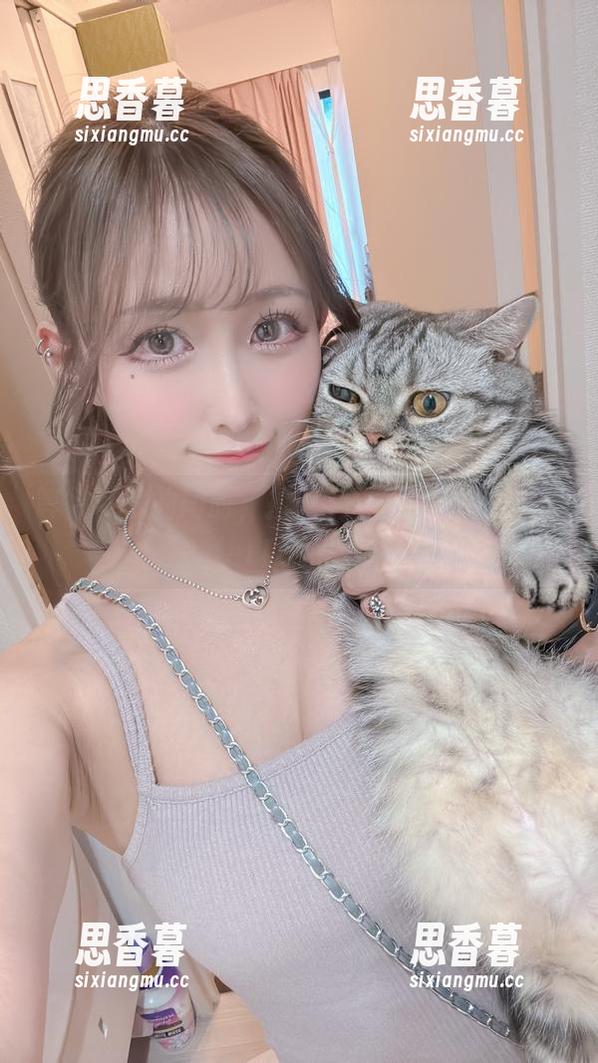 月城委员会 等待下载的同时,揭开月城委员会的WonderLand画卷
