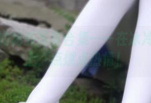 西尔酱的秘书写真合集——在冰冷的桌子上,点燃点热情!