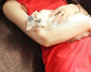 青豆客 - 天台之上，梦娜Vanessa的图库展示：无论如何，眼球都在这儿停留